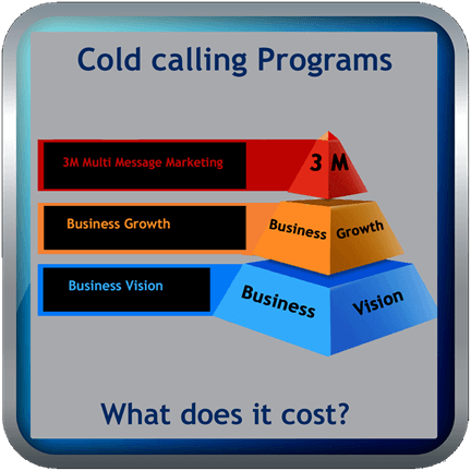 Cold calling program cost